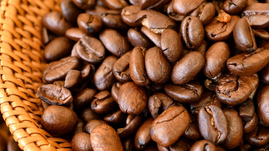 コーヒーを入れる前にコーヒー豆を選定しよう！